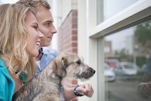 Arnhem Portaal Wonen Fotograaf