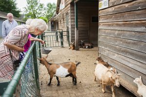 gemeente veenendaal gelderland arnhem fotograaf